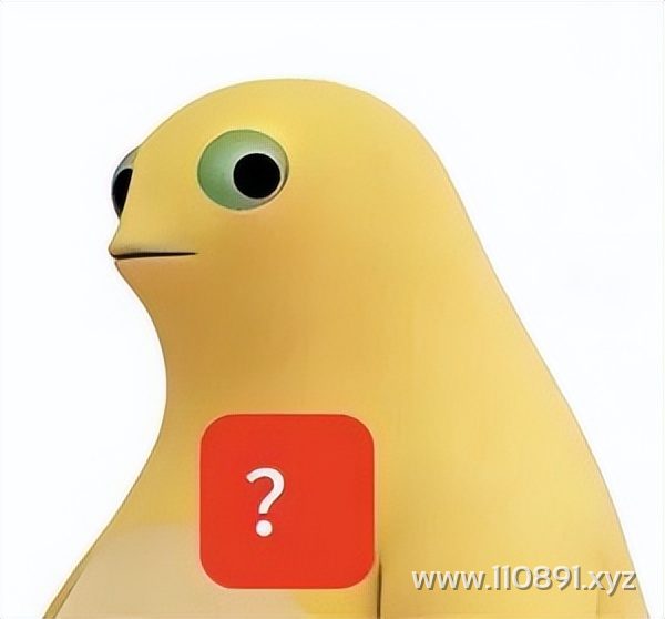 图片 14