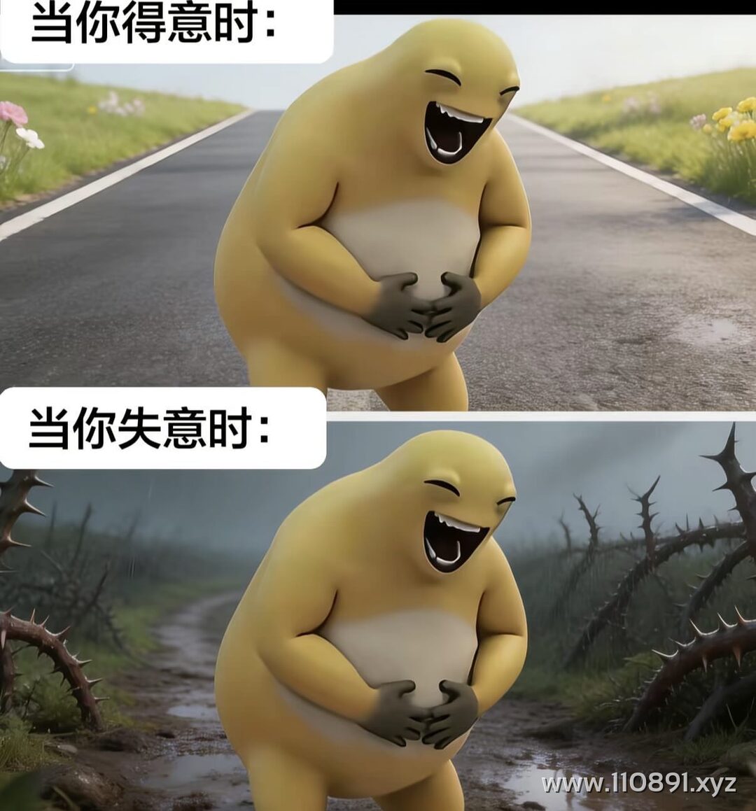 图片 14
