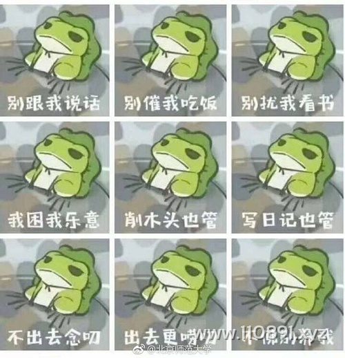 图片 10