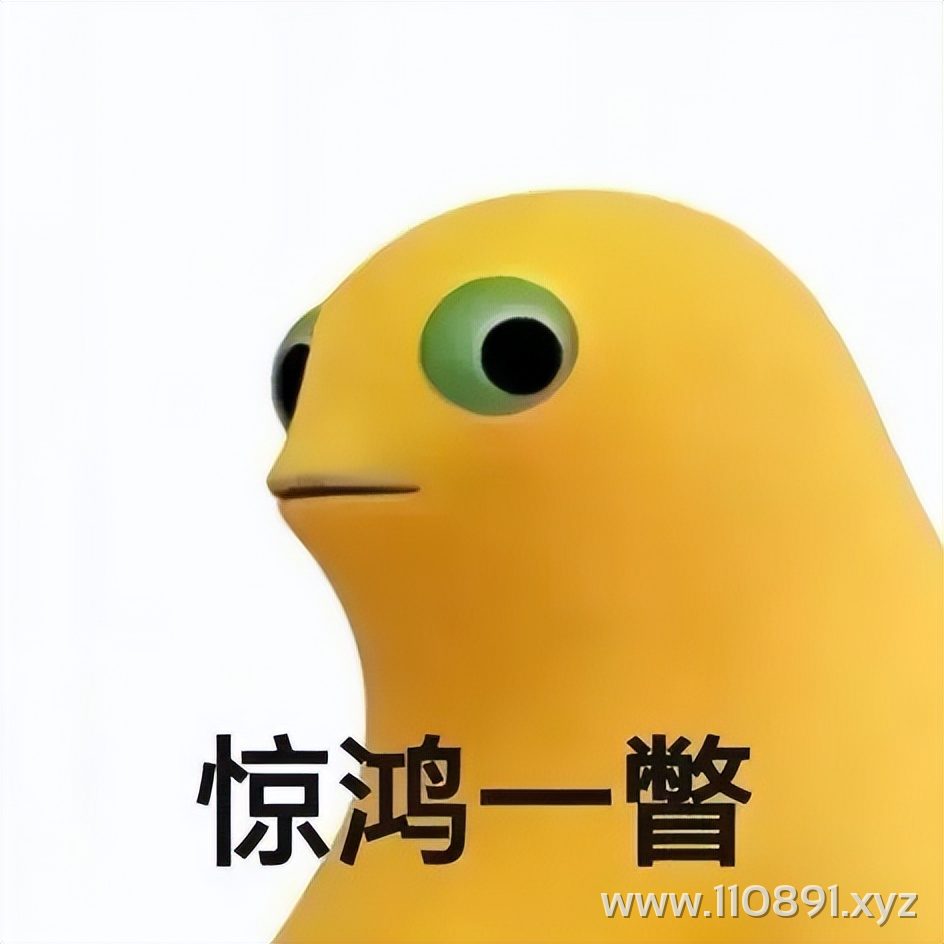 图片 5