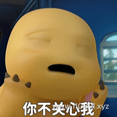 图片 13