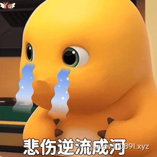 图片 8
