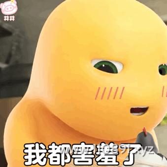 图片 15