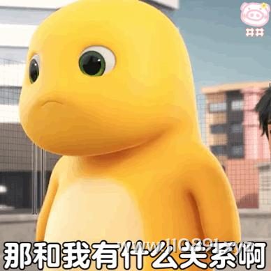图片 8