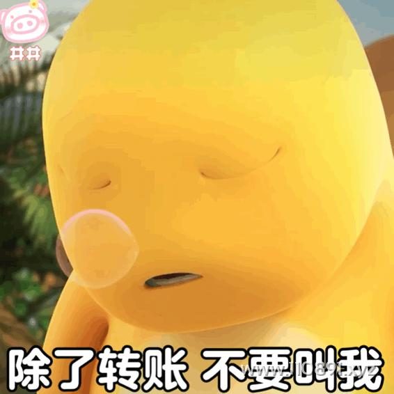 图片 13