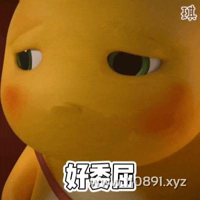 图片 15