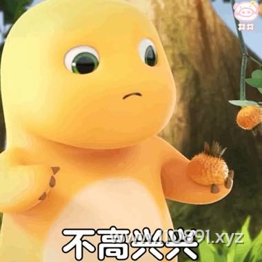 图片 6