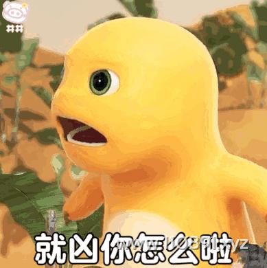 图片 8