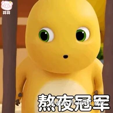 图片 14