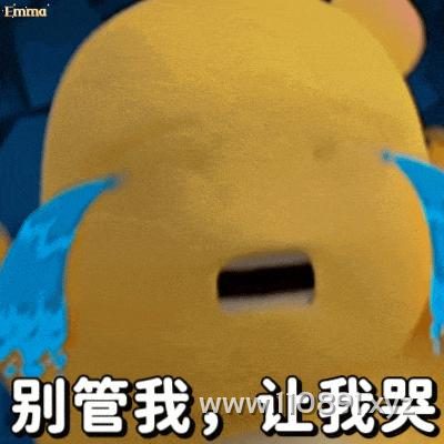 图片 15