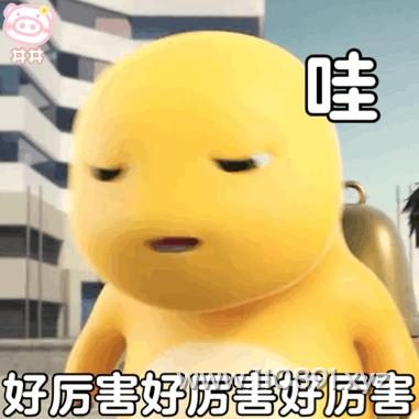 图片 5