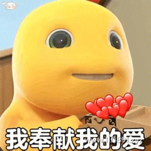 图片 13